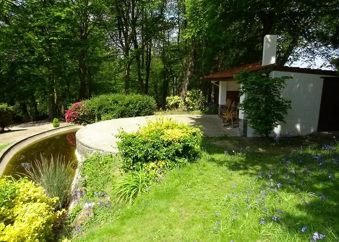 B&B Le Chateau Des Eglantines Montignies-le-Tilleul